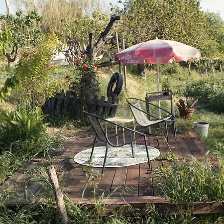 Camping Rifugio Tra Gli Alberi *
