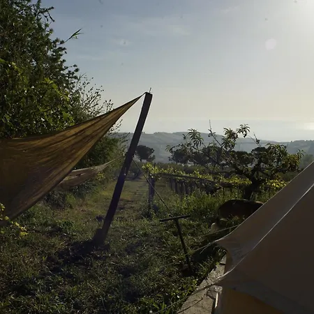 Camping Rifugio Tra Gli Alberi *