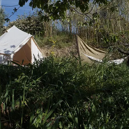 Camping Rifugio Tra Gli Alberi