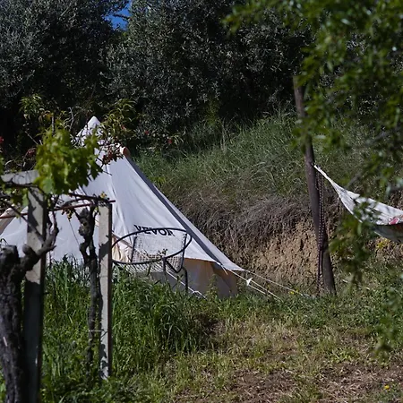 Camping Rifugio Tra Gli Alberi *
